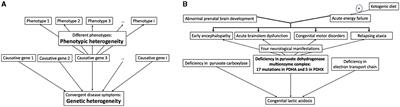 A challenging interplay between basic research, technologies and medical education to provide therapies based on disease mechanisms